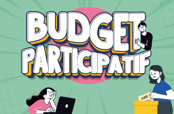 Budget participatif2 copie
